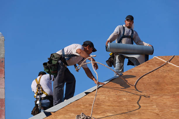 Best Roof Leak Repair  in Homeland, GA