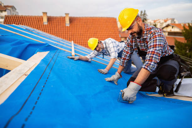 Best Storm Damage Roof Repair  in Homeland, GA
