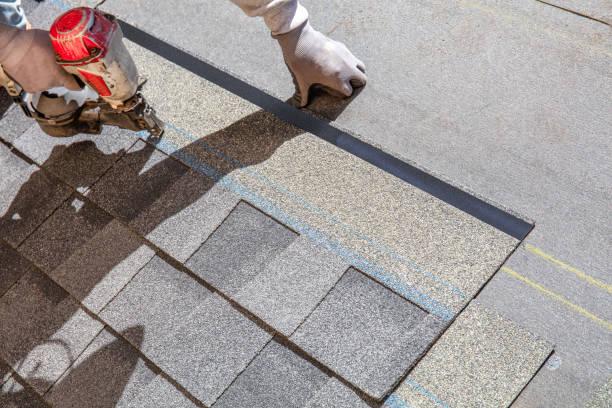 Best Best Roofing Contractors  in Homeland, GA