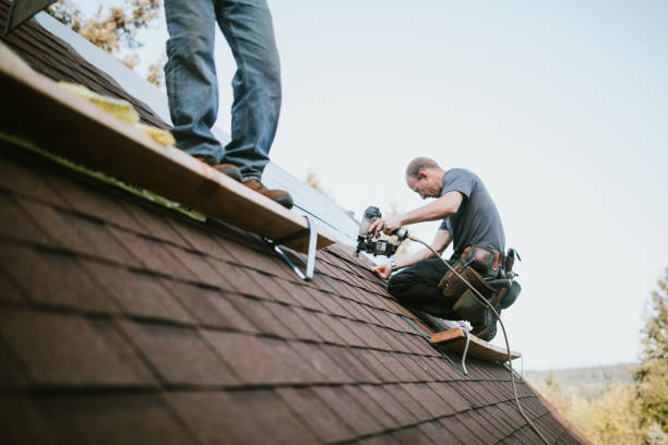 Best Roof Repair Specialists  in Homeland, GA